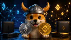 FLOKI opera en Ethereum y BNB Smart Chain contrato red costes y custodia.